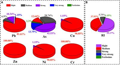 Spatial distribution and source apportionment of soil heavy metals in the areas affected by non-ferrous metal slag field in southwest China